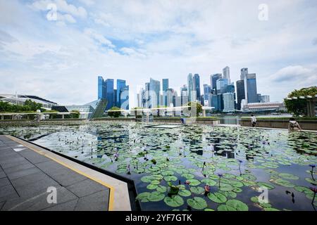 Singapore - August 13, 2024: City skyline with Skyscrapers at Marina Bay Financial Centre and lily pads under the Art Science Museum Stock Photo