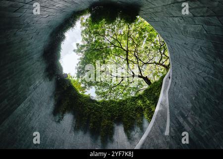 Singapore - August 18, 2024: The tree over tunnel walkway at Fort Canning Park and Penang road Stock Photo