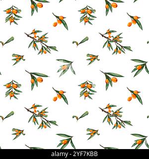 seamless pattern with sea buckthorn, watercolor. Juicy hand-drawn berries and twigs in a realistic style. Elements isolated on white background. For printing on fabrics. postcards, cosmetic packaging Stock Photo