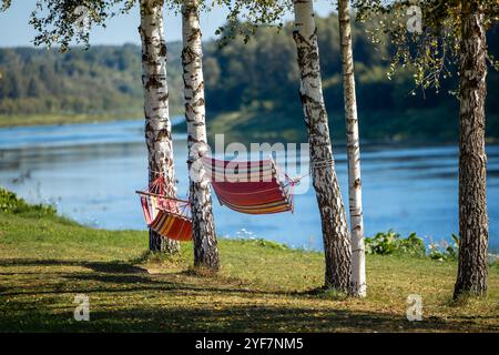 Two vibrant hammocks are tied between birch trees on a grassy riverbank. The river winds through a lush forest under a clear blue sky, creating a tran Stock Photo