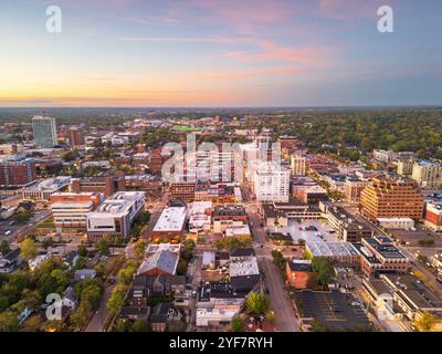 Ann Arbor, Michigan, USA college town skyline at dusk. Stock Photo