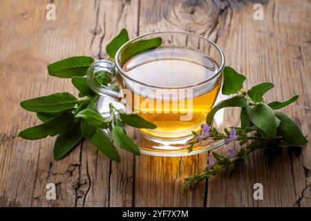 Cup of aromatic sage tea and fresh leaves Stock Photo