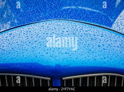 Patterns of raindrops on the bonnet of a blue car at a classic car show Stock Photo
