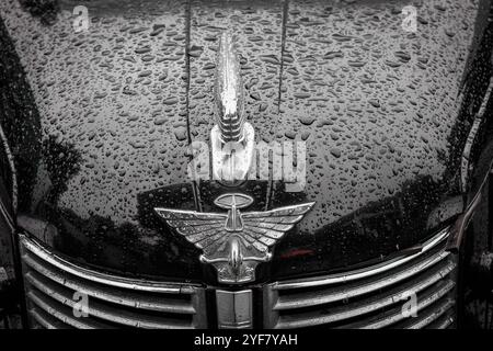Patterns of raindrops on the bonnet of a black Austin 8 car at a classic car show in the rain Stock Photo