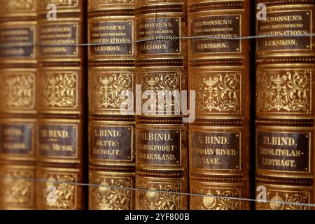 Old books bound in leather covered embossed with gold foil (Library, Wrest House, Wrest Park, Bedfordshire, England) Stock Photo