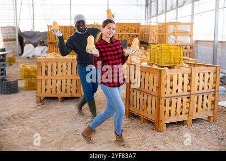 Warehouse workers posing or dancing with honeynut squashes Stock Photo