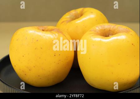 Three yellow Opal apples on a gray plate. Stock Photo