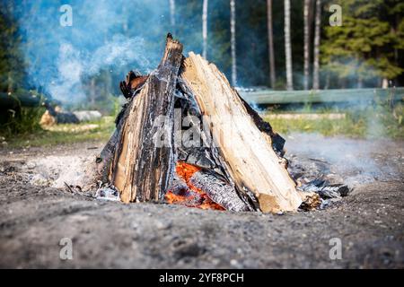 Big campfire with flames in nature close-up Stock Photo