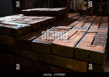 Industrial production of bricks. brick production line in factory Stock Photo