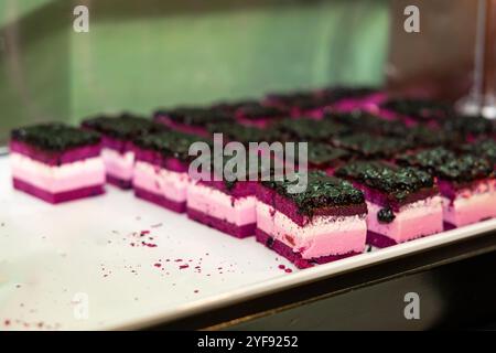 Vibrant Berry Cheesecake Squares on Display at a Hotel Buffet Stock Photo