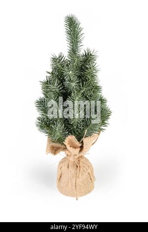 Small fake decorative Christmas tree in jute bag on white background Stock Photo