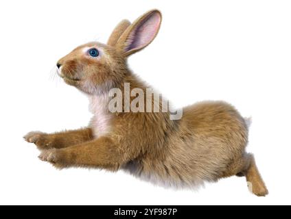 3D rendering of a continental giant rabbit isolated on white background Stock Photo