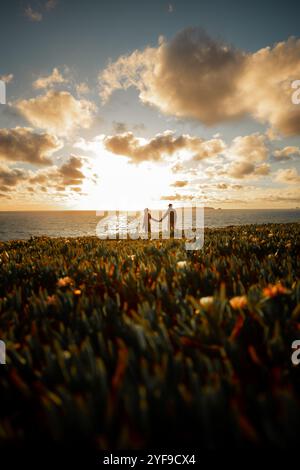 Silhouette of a couple at sunset, woman and man walking along seashore in rays of sunset sunlight. walk and hug. place for text, romantic relationship Stock Photo