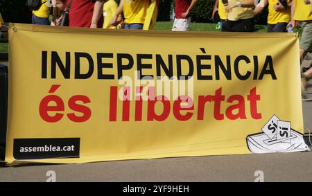 The Diada (National Holiday) of Catalonia, 11 September 2014. Rally called 'Via Catalana 2014' (Catalan Way 2014). Thousands of people gathered along the Diagonal and Gran Via de les Corts Catalanes, the two main avenues of the city of Barcelona, forming a giant 'V'. The demonstration called for a Catalan self-determination on 9 November 2014 (Citizen Participation Process on the Political Future of Catalonia). This event was the first phase of a united civil society campaign called 'Ara és l'hora' (Now is the Time), promoted by 'Assemblea Nacional Catalana' (ANC) and 'Omnium Cultural'. ANC ba Stock Photo