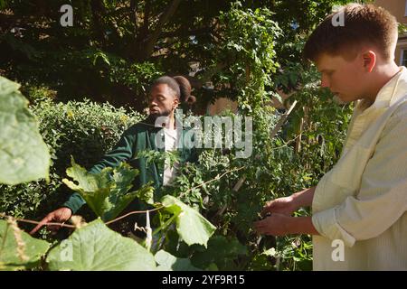 Young male friends looking at plants in park Stock Photo