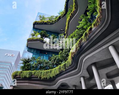 Singapore - August 16, 2024: Parkroyal Collection Pickering Luxury Hotel Stock Photo