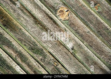 Wooden background surface. Green wood abstract with texture Stock Photo