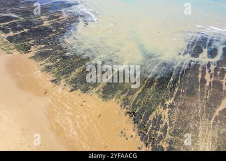 Drone aerial view of sandy beach. Botany bay Broadstairs atlantic ocean Kent United Kingdom Stock Photo