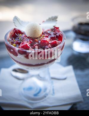 Delicious sweet cheese cake with red berries and syrup garnishes and a piece white chocolate Stock Photo