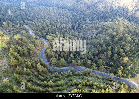 Drone scenery of rural mountain windy road through forest. Troodos mountains Cyprus Stock Photo