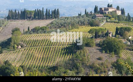 Beautiful vineyard fields in San Gimignano, Tuscany area, Italy, Europe Stock Photo