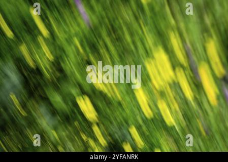 Colourful abstract blurry background with variation of lines and textures Stock Photo