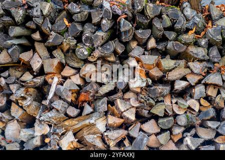 Logs from cut down trees prepared for the winter lie near the house Stock Photo