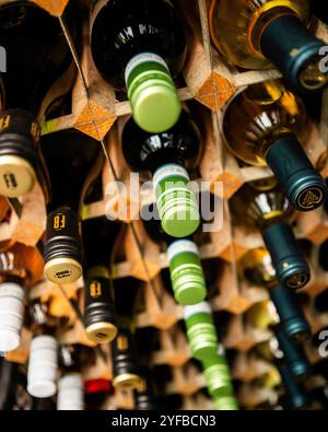Rows of red and white wine in a modern wooden rack Stock Photo