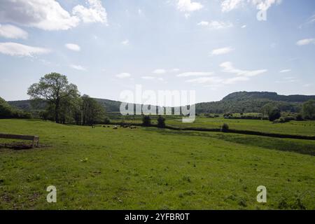 Arnside Knott viewed across Silverdale Moss Westmorland and Furness formerly Cumbria, England Stock Photo