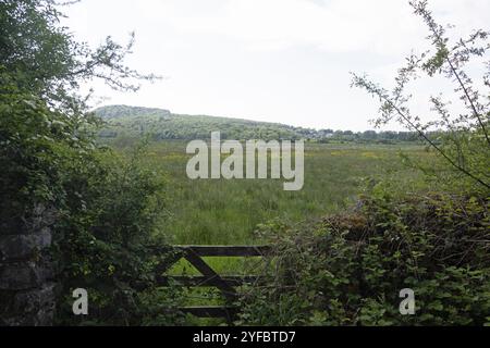 Silverdale Moss Arnside Westmorland and Furness formerly Cumbria England Stock Photo