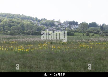 Silverdale Moss Arnside Westmorland and Furness formerly Cumbria England Stock Photo