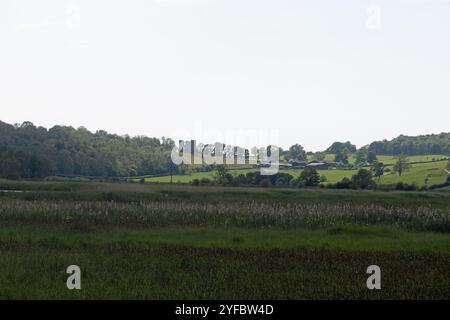 Silverdale Moss Arnside Westmorland and Furness formerly Cumbria England Stock Photo