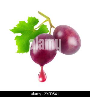 Two red grapes on a branch with drop of juice or wine isolated on white background Stock Photo