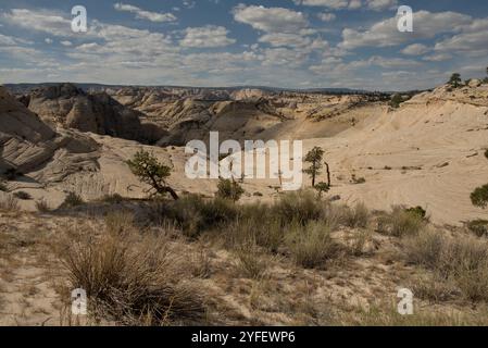 Traversing toward Death Hollow Canyon in Escalante-Grand Staircase National Monument Stock Photo