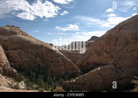 Death Hollow Canyon in Escalante-Grand Staircase National Monument Stock Photo