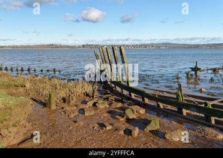 Shipwreck of an old wooden boat on the River Exe Estuary shore, near Powderham, Devon, UK, January 2024. Stock Photo