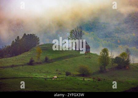 Early foggy morning surprised on an Romanian countryside during autumn. Photo taken on 12th of October 2024 in Dumesti, Transylvania region, Romania. Stock Photo