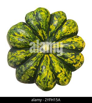 Top view of Green and Yellow Carnival squash with stripes isolated on white background. Stock Photo