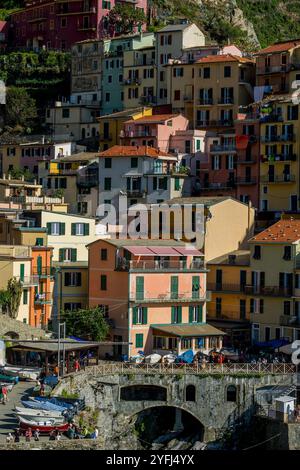 View of colorfulm houses around the tiny harbor of Manarola, Cinque Terre, province of La Spezia, part of the region of Liguria, Northern Italy. Stock Photo