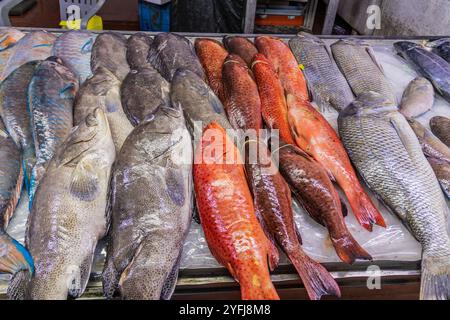 Fish stall in the  Central Fish market in Jeddah, Saudi Arabia Stock Photo