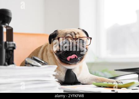 pug in necktie and eyeglasses Stock Photo Alamy