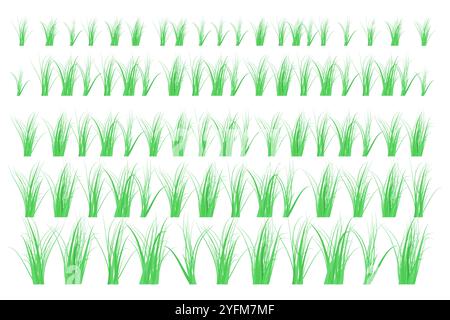 Green grass borders on white background. The grass is very popular in the front yard. Stock Vector