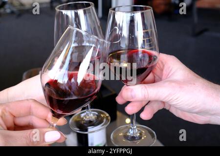 Three friends toasting with a glass of wine.  France. Stock Photo