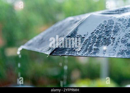 Rain water drops falling and splashing on black umbrella while raining outside. Stock Photo