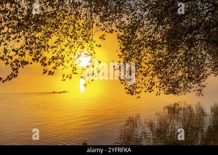 Autumn colours on the Platanen Allee, Hardenberg Ufer, lakeside path on Lake Baldeney, near Haus Scheppen, in Essen, North Rhine-Westphalia, Germany, Stock Photo