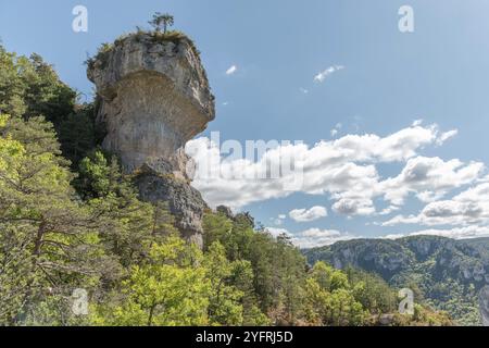 Spectacular rock in the Gorges de la Jonte in the Cevennes National Park. Aveyron, France, Europe Stock Photo