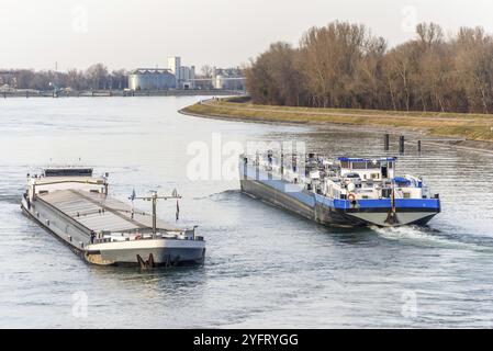 Barge boat sailing on the Rhine between Germany and France, oil tanker Stock Photo