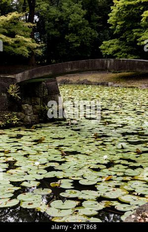 Koishikawa Kōrakuen botanical garden, near Tokyo Dome, Tokyo, Japan © Giorgia De Dato Stock Photo