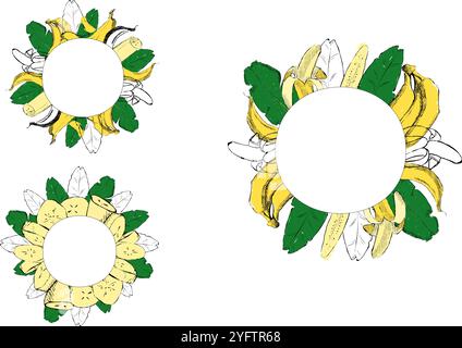 Banana fruit border circle round frame set. Vector Graphic cartoon illustration isolated on transparent background. Bananas pictures for labels, print Stock Vector
