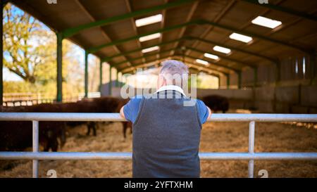Rear View Of Mature Male Farm Worker Checking On Cattle In Barn Stock Photo